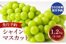 【2026年発送分 先行予約】 シャインマスカット 2～3房（約1.2kg） 8月中旬以降発送予定 フルーツ 山梨 シャイン マスカット くだもの 大粒 人気 厳選 ブドウ ぶどう 葡萄  富士川町 先行予約