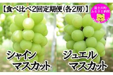 【2025年発送分 先行予約】【２回食べ比べ定期便・別送】シャインマスカット（1.0～1.2kg・２房）＋ジュエルマスカット（1.1～1.4kg・２房）　ぶどう シャイン シャインマスカット ジュエルマスカット フルーツ 果物 山梨 やまなし 定期便 食べ比べ 先行予約  (C3803)