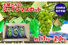 【2026年発送分 先行予約】土屋さんのシャインマスカット(1.7～2.0kg 3～4房) シャイン マスカット 富士川町産 産地直送 フルーツ 果物 くだもの ブドウ ぶどう 葡萄 やまなし 山梨 先行受付 令和8年