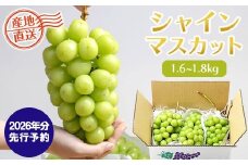 【2026年発送分 先行予約】シャインマスカット（1.6-1.8kg）　シャイン マスカット シャインマスカット ぶどう 葡萄 ブドウ 果物 くだもの フルーツ 大粒 産地直送 先行予約 先行受付 山梨 やまなし有機肥料 山梨県産 富士川町