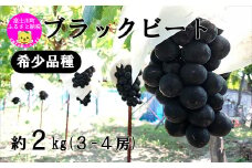 【2025年発送分】希少品種「ブラックビート」3～4房（約2kg）種なし 種無し 黒葡萄 ぶどう ブドウ 葡萄 フルーツ 果物 山梨 やまなし 富士川町 先行予約