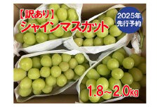 【2025年発送分 先行予約】【訳あり】シャインマスカット  1.8kg～2kg (3～6房) 【8月下旬以降発送予定】 訳アリ 訳あり品 シャイン マスカット ぶどう ブドウ 葡萄 徳用 家庭用 ご家庭用 旬 新鮮 約2kg 約1.8kg 約1.9kg くだもの 果物 フルーツ 山梨 やまなし 富士川町