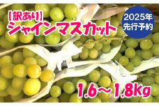 【2025年発送分 先行予約】【訳あり】徳用シャインマスカット(1.6～1.8kg)  ＊本州のみの地域限定配送品　 訳アリ 訳あり品 シャイン マスカット ぶどう ブドウ 葡萄 徳用 家庭用 ご家庭用 旬 新鮮 くだもの 果物 フルーツ 山梨 やまなし 富士川町