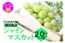 【2026年発送分 先行予約】頬張る幸福感　～緑の宝石・シャインマスカット～　２ｋｇ以上（３～５房） フルーツ 山梨県産 果物 シャイン マスカット ぶどう ブドウ 大粒 種なし 種無し 先行予約 富士川町