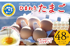 【パルシステム山梨採用】エサにこだわって育てたひまわりたまご ４８個（６個入りパック×８パック）  紅白たまご たまご 卵 玉子 タマゴ 鶏卵 新鮮 小分け パック 国産 贈答 おすそ分け 人気 たまごかけご飯 ふるさと納税限定