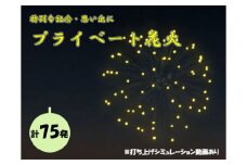 【特別な記念・思い出に】プライベート花火（７５発） 花火 はなび 記念 思い出 プライベート アニバーサリー 誕生日 記念日 結婚 プロポーズ
