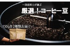 【Specialty Coffee】真庵（まこと）焙煎コーヒー豆（２種類） ※産地はおまかせ　コーヒー 珈琲 コーヒー豆 珈琲豆 焙煎 コスタリカ ブラジル グアテマラ コロンビア エチオピア インドネシア ケニア 