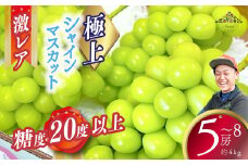 【2025年発送分 先行予約】激レア【糖度20度以上】極上シャインマスカット 約４kg  フルーツ 山梨県産 果物 シャイン マスカット ぶどう ブドウ 大粒 種なし