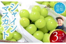 【2025年発送分 先行予約】 シャインマスカット 約2.2kg（3～5房） 8月中旬以降発送予定 フルーツ 山梨県産 果物 シャイン マスカット ぶどう ブドウ 大粒 種なし 産地直送  富士川町 先行予約（A5307）