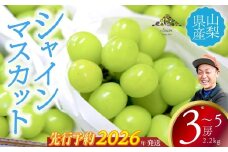 【2026年発送分 先行予約】 シャインマスカット 2.2kg以上（3～5房） 8月中旬以降発送予定 フルーツ 山梨県産 果物 シャイン マスカット ぶどう ブドウ 大粒 種なし 産地直送  富士川町 先行予約（A5307）