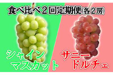 【数量限定】【2025年発送分 先行予約】【２回食べ比べ定期便・別送】シャインマスカット（２房）+サニードルチェ（２房）食べ比べ定期便（２回発送） ※本州限定　シャイン シャインマスカット フルーツ 果物 くだもの 山梨 やまなし サニードルチェ 食べ比べ 定期便