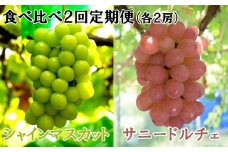【数量限定】【2026年発送分 先行予約】【２回食べ比べ定期便・別送】シャインマスカット（２房）+サニードルチェ（２房）食べ比べ定期便（２回発送） ※本州限定　シャイン シャインマスカット フルーツ 果物 くだもの 山梨 やまなし サニードルチェ 食べ比べ 定期便