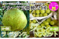 【2025年発送分 先行予約】【フルーツ王国やまなしのフルーツ定期便】【訳あり】シャインマスカット（３～６房・１．８～２ｋｇ）＆ラ・フランス（４～６玉・約２ｋｇ） 定期便 シャイン シャインマスカット ぶどう ブドウ 葡萄 洋ナシ 洋梨 洋なし フルーツ 果物 訳あり 訳アリ 自宅用 くだもの 山梨 やまなし 富士川町