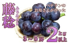 藤稔 ２ｋｇ以上（３～５房）　ふじみのり 葡萄 ブドウ ぶどう 果物 くだもの 山梨 やまなし フルーツ 富士川町