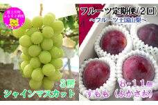 【2025年発送分】【フルーツ定期便】小林農園のシャインマスカット約2kg(3房)＆【糖度16度以上】すもも『ふかさわ』（8〜11個入り/約1.3〜1.5kg）　シャイン マスカット ぶどう ブドウ 葡萄 李 スモモ フルーツ 果物 くだもの 山梨 やまなし 富士川町