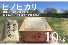 【令和７年度産先行予約】ヒノヒカリ 10kg ※11月以降順次発送予定　精米済み 新米 ひのひかりお米 精米 １０キロ 米 ライス こめ おこめ １０kg