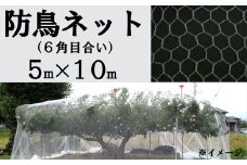 防鳥ネット（６角目合い）５m×１０m