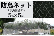 防鳥ネット（６角目合い）５m×５m