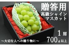 【令和７年度先行予約】贈答用！希少価値の高い高級シャインマスカット（１房 ７００ｇ以上）　シャイン シャインマスカット マスカット 葡萄 ぶどう ブドウ 果物 くだもの フルーツ 山梨 やまなし 富士川町 ギフト プレゼント 贈り物