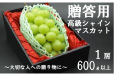 【令和７年度先行予約】贈答用！希少価値の高い高級シャインマスカット（１房 ６００ｇ以上）　シャイン シャインマスカット マスカット 葡萄 ぶどう ブドウ 果物 くだもの フルーツ 山梨 やまなし 富士川町 ギフト プレゼント 贈り物