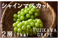 【2025年発送分】【FUJIKAWA GRAPE】シャインマスカット　１ｋｇ（２房）　シャイン マスカット ぶどう 葡萄 ブドウ 果物 くだもの フルーツ 山梨 やまなし 富士川町
