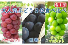 【2025発送分】【フルーツ王国山梨】３色ぶどう食べ比べセット（巨峰・シャインマスカット・スカーレット 各１房・約2.15kg）　ぶどう 葡萄 ブドウ マスカット シャイン 赤ぶどう 黒ぶどう くだもの フルーツ 果物 食べ比べ お試し 山梨 やまなし 富士川町
