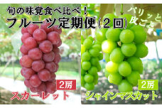 【やまなしのフルーツ定期便】シャインマスカット(緑)（２房・約１．４ｋｇ）＆スカーレット(赤)（２房・約１．５ｋｇ）食べ比べ定期便（２回発送）　ぶどう ブドウ 葡萄 食べ比べ 定期便 マスカット シャイン 赤ぶどう フルーツ 果物 くだもの 山梨 やまなし