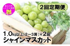 【2025年発送】【２回定期便】頬張る幸福感 ～緑の宝石・シャインマスカット～ 計２kg（1.0kg以上・2～3房を２回[9月上旬・下旬]お届け）　シャイン シャインマスカット ぶどう 葡萄 ブドウ 定期便 ２回 果物 くだもの フルーツ 山梨 やまなし 富士川町 シャインだけ シャインマスカットだけ