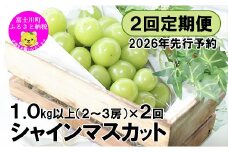 【2026年先行予約】【２回定期便】頬張る幸福感 ～緑の宝石・シャインマスカット～ 計２kg（1.0kg以上・2～3房を２回[9月上旬・下旬]お届け）　シャイン シャインマスカット ぶどう 葡萄 ブドウ 定期便 ２回 果物 くだもの フルーツ 山梨 やまなし 富士川町 シャインだけ シャインマスカットだけ