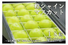 【令和7年度先行予約】《厳選・宝石箱》シャインマスカットひと口BOX(18粒入り・約200g)　シャイン マスカット ぶどう 葡萄 ブドウ 房なし 粒シャイン 粒のみ 粒だけ くだもの 果物 フルーツ 山梨 やまなし 富士川町
