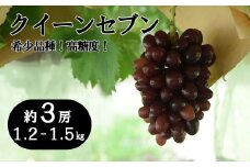 【数量限定】クイーンセブン 約３房（1.2～1.5kg）　ぶどう ブドウ 葡萄 くだもの 果物 フルーツ 山梨 やまなし 富士川町 高糖度 希少 希少品種 貴重