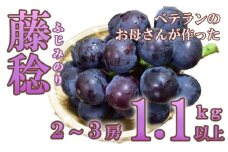 【フルーツ王国山梨】藤稔 １．１ｋｇ以上（２～３房）　ふじみのり 葡萄 ブドウ ぶどう 果物 くだもの 山梨 やまなし フルーツ 富士川町