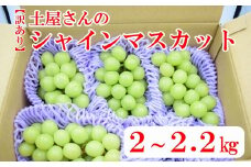 【訳あり】【数量限定】土屋さんのシャインマスカット（４～５房程度・２ｋｇ～２．２ｋｇ）　訳あり 訳アリ シャイン マスカット フルーツ 果物 くだもの やまなし 山梨 ぶどう ブドウ 葡萄 規格外 産地直送