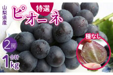 ＜2025年/令和7年発送先行予約＞山梨県産 種無しピオーネ約500g×2房 SWAM001
