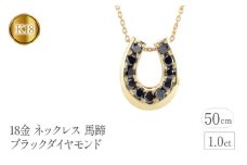  18金 ペンダントトップ 馬蹄 ブラックダイヤモンド 1.0ct ネックレス ホースシュー ブラックダイヤ 蹄鉄 シンプル ジュエリー 山梨県 昭和町 送料無料 管理番号230227102bkym SWAA095｜レビューキャンペーン