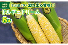 【令和7年度発送先行予約】昭和町ブランドとうもろこし「ドルチェドリーム」 SWBN001