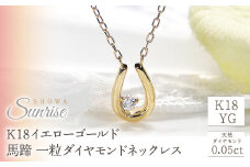 【0.05ct】K18YG　馬蹄　一粒ダイヤモンドネックレス　EmN0022 SWAV017｜レビューキャンペーン