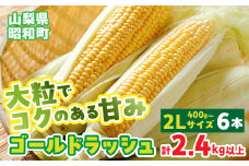 【2025年発送先行予約】山梨県産ゴールドラッシュ2Lサイズ×6本セット SWBS001