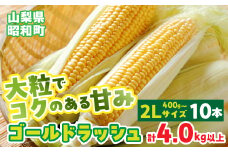 【2025年発送先行予約】山梨県産ゴールドラッシュ2Lサイズ×10本セット SWBS002