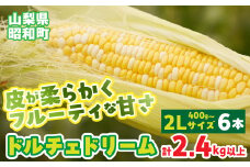 【2025年発送先行予約】山梨県産ドルチェドリーム2Lサイズ×6本セット SWBS004