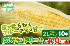 【2025年発送先行予約】山梨県産ドルチェドリーム2Lサイズ×10本セット SWBS005