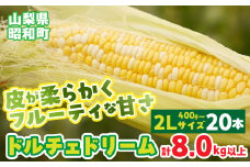 【2025年発送先行予約】山梨県産ドルチェドリーム2Lサイズ×20本セット SWBS006
