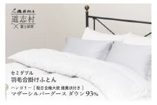 【富士新幸謹製】羽毛布団 合掛け セミダブル ハンガリーマザーシルバーグース ダウン93％ ※着日指定送不可 ふるさと納税 寝具 ダウン 羽毛 ダウンケット かけ布団 掛け布団 ふとん 山梨県 道志村 送料無料 DSI049