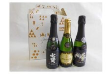 山梨の酒　スパークリングのみ比べセット　※離島へのお届け不可 ふるさと納税 酒 日本酒 スパークリング アルコール 山梨県 道志村 送料無料 DSK003