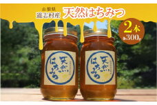 道志村産　天然はちみつ（300g×2本） ふるさと納税 はちみつ ハチミツ 蜂蜜 ハニー パン 食パン 山梨県 道志村 送料無料 DSD004