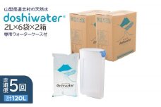 【定期便】【山梨　道志村の天然水】doshiwater (2L×6袋×2箱)　初回のみ専用ウォーターケース付【5回定期】 ふるさと納税 水 天然水 ミネラルウォーター 自然水 ペットボトル 定期便 山梨県 道志村 送料無料 DSF004