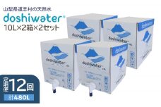 【定期便】【山梨　道志村の天然水】doshiwater BIB40L(10L×2箱×2セット)　大好評の大容量サイズ2セット【12回定期】 ふるさと納税 水 天然水 ミネラルウォーター 自然水 ペットボトル 定期便 山梨県 道志村 送料無料 DSF007