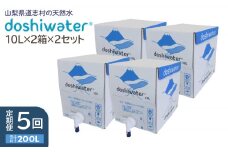 【定期便】【山梨　道志村の天然水】doshiwater BIB40L(10L×2箱×2セット)　大好評の大容量サイズ2セット【5回定期】 ふるさと納税 水 天然水 ミネラルウォーター 自然水 ペットボトル 定期便 山梨県 道志村 送料無料 DSF006
