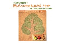 押しピンいきもの＆コルクボードセット【緑】 ≪壁掛け おしゃれ 可愛い ボード 飾る 写真 掲示板≫ ふるさと納税 コルクボード 壁掛け メッセージボード コルク 押しピン 山梨県 道志村 送料無料 DSR011--03