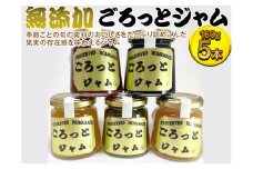 無添加ごろっとジャム｜詰め合わせ おまかせ 食べ比べ フルーツジャム マーマレード 季節の果物 旬 ※北海道・沖縄・離島への配送不可 ふるさと納税 ジャム 無添加 フルーツ フルーツジャム マーマレード 山梨県 道志村 送料無料 DST001